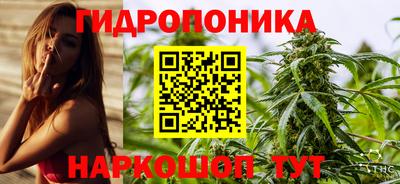 трава Сланцы