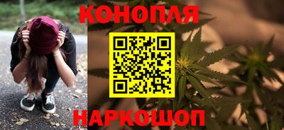трава Сланцы