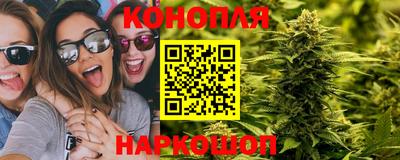 трава Сланцы