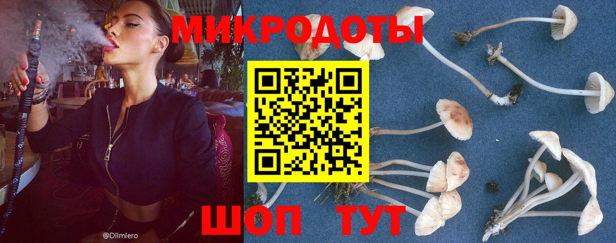 Галлюциногенные грибы мухоморы Ревда