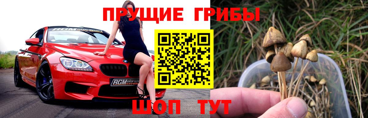 Галлюциногенные грибы MAGIC MUSHROOMS  Псилоцибиновые грибы ЛСД  Вход с VPN  Ревда 